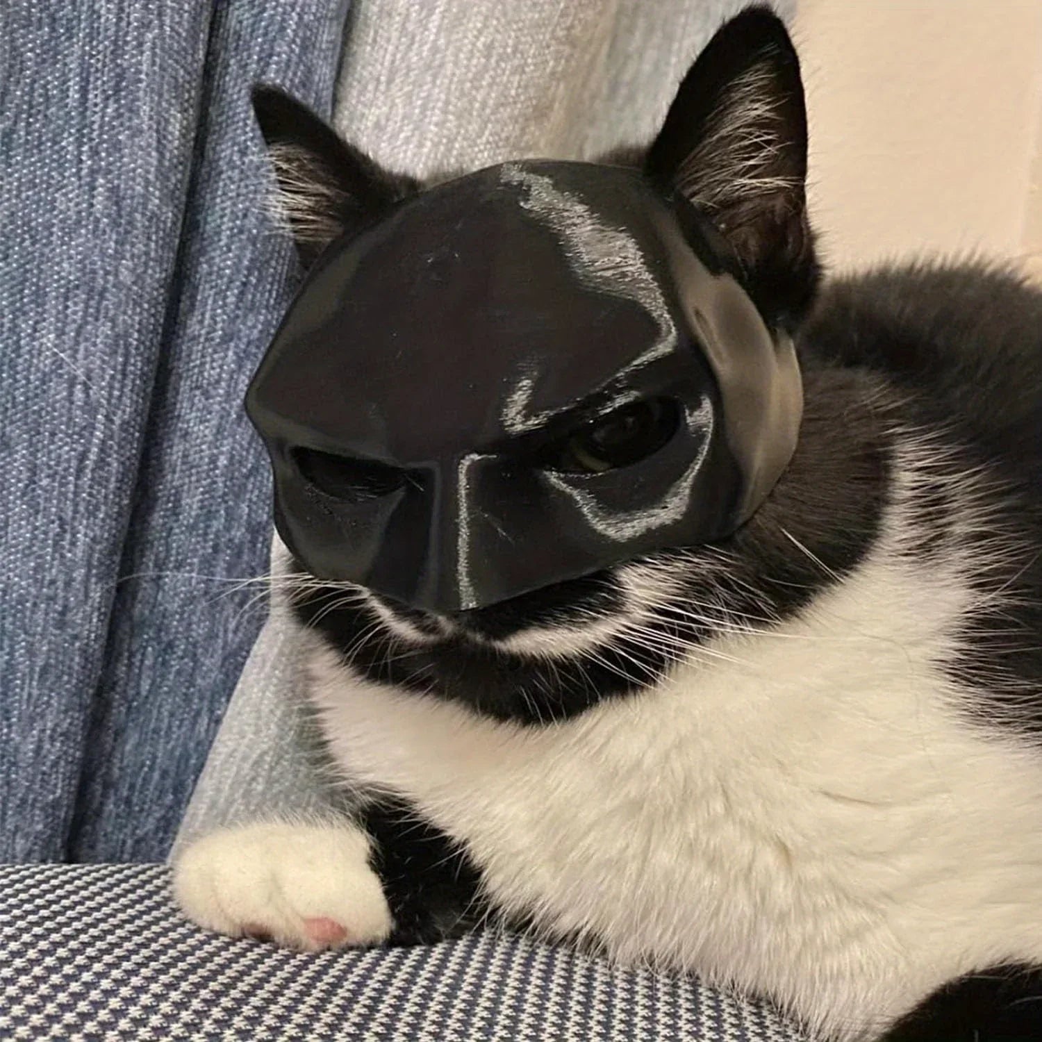 Cat Batman Mask Superhero Costume Fun Pet Prop for Cosplay Photoshoots